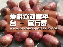 产品展示标题5