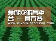 种植基地六(图1)