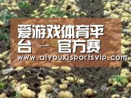 种植基地八(图1)