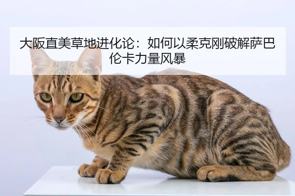 大阪直美草地进化论：如何以柔克刚破解萨巴伦卡力量风暴
