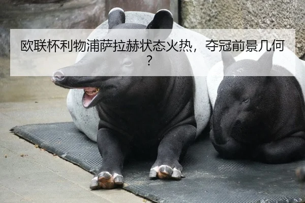 欧联杯利物浦萨拉赫状态火热，夺冠前景几何？