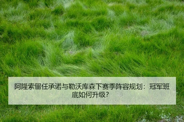 a-long-suo-liu-ren-cheng-nuo-yu-lei-wo-ku-sen-xia-sai-ji-zhen-rong-gui-hua-guan-jun-ban-di-ru-he-sheng-ji-3-970.jpg