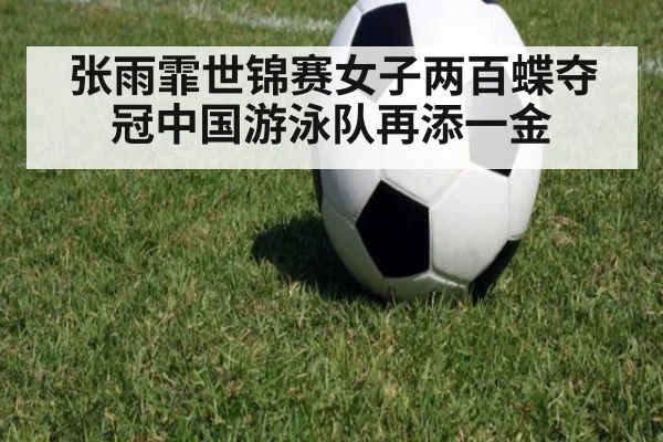 张雨霏世锦赛女子两百蝶夺冠中国游泳队再添一金