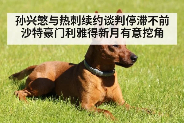 孙兴慜与热刺续约谈判停滞不前沙特豪门利雅得新月有意挖角