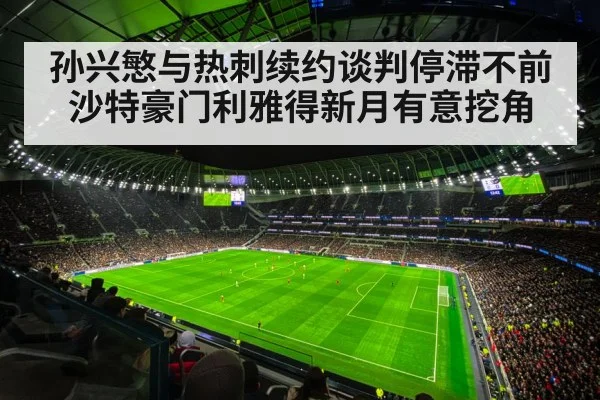Tottenham Hotspur stadium