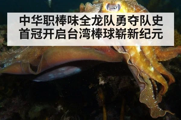 中华职棒味全龙队勇夺队史首冠开启台湾棒球崭新纪元
